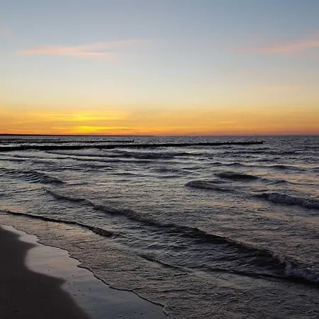 Waldblick - Insel Usedom
